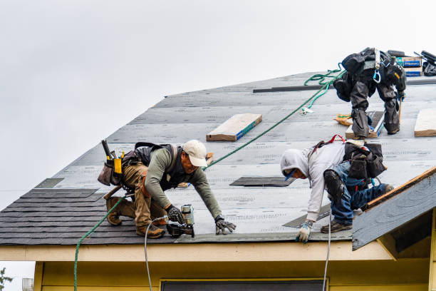 Professional Roofing technician working in Deer Island, OR
